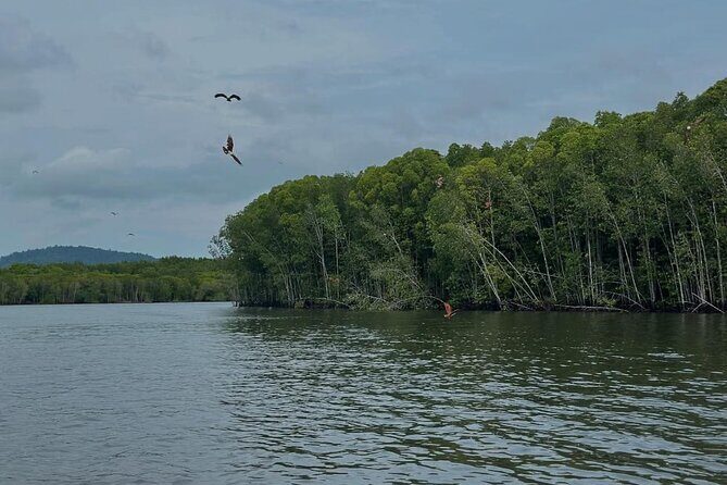 Langkawi Mangrove Boat Tour - FAQ  