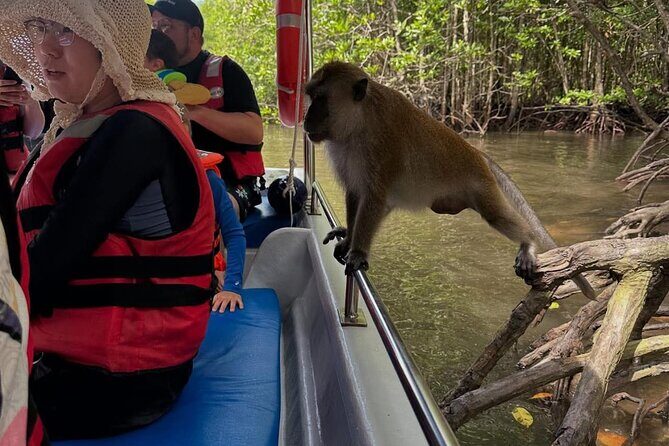 Langkawi Mangrove Boat Tour - Frequently Asked Questions