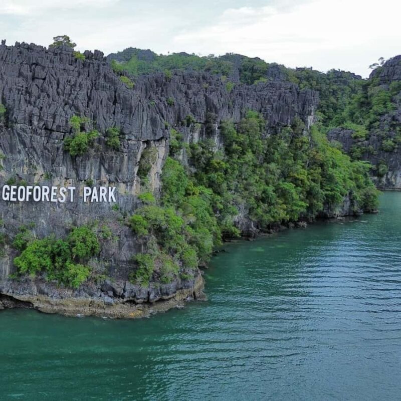 Langkawi: Mangrove Forest Boat Tour with Eagle Watching - Who Will Love This Experience?