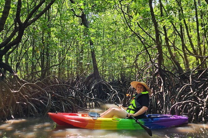 Langkawi Mangrove Kayak Tour by Sham - A Detailed Look at the Langkawi Mangrove Kayak Tour