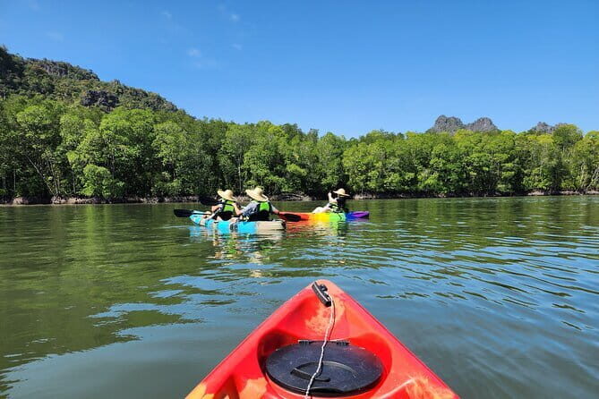 Langkawi Mangrove Kayak Tour by Sham - Who Will Love This Tour?