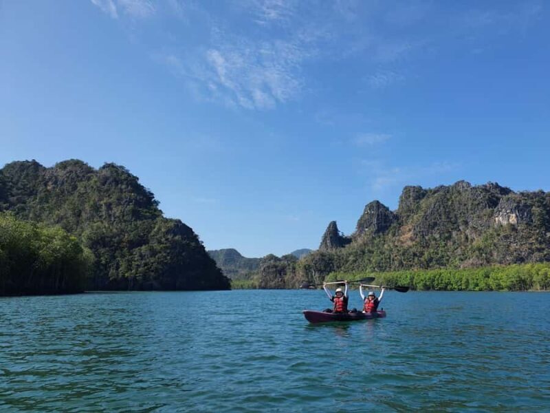 Langkawi: Mangrove Kayak Tour with Wildlife Spotting - Practical Details and Tips for the Tour
