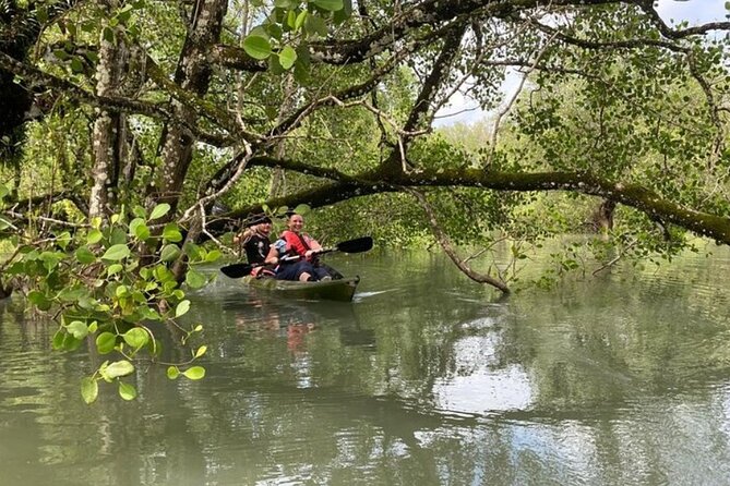 Langkawi Mangrove Kayaking Adventure With Nature Explorer - Additional Information and Accessibility