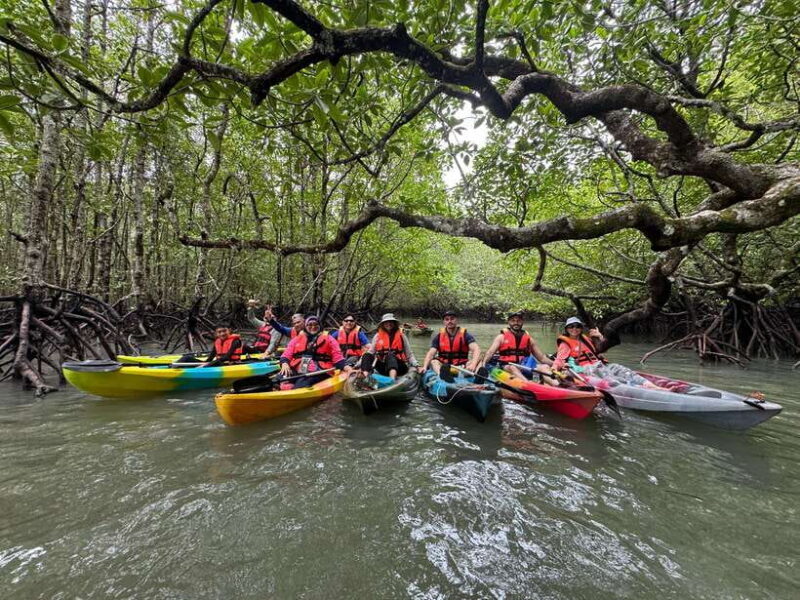 Langkawi: Mangrove Kayaking by Farly - A Closer Look at the Itinerary