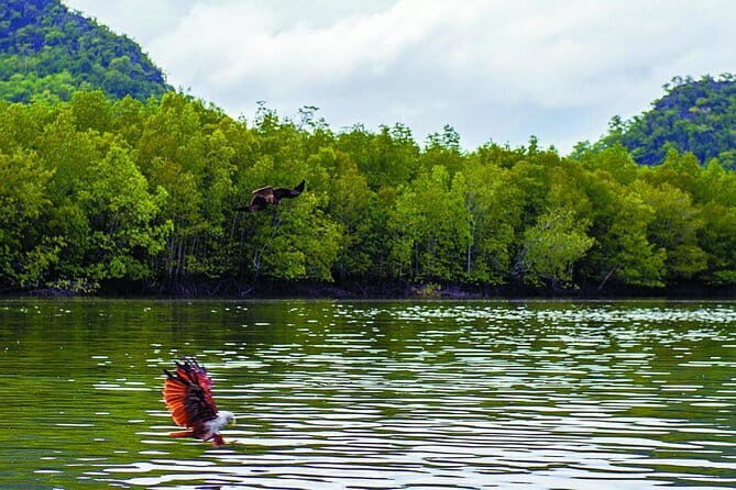 Langkawi Mangrove Kilim UNESCO Geopark and Cave Exploring Tour - Who Will Love This Tour?