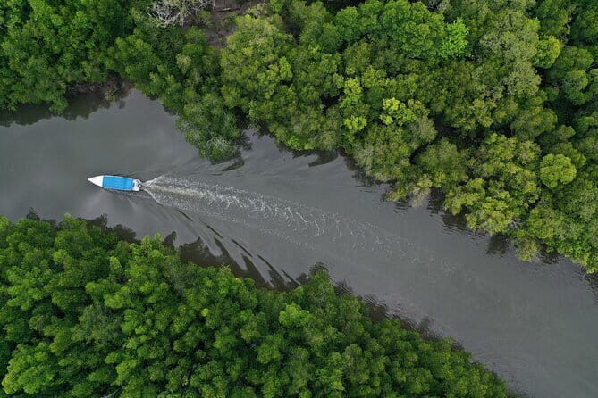 Langkawi Mangrove Kilim UNESCO Geopark and Cave Exploring Tour - The Sum Up