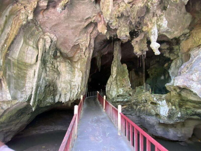 Langkawi Mangrove Monkey Package - Good To Know