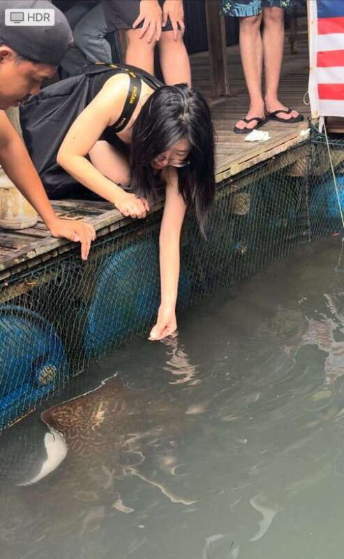 Langkawi Mangrove Monkey Package - Insights from Travelers: Authentic Feedback