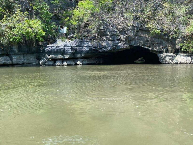 Langkawi Mangrove Monkey Package - Why Choose the Langkawi Mangrove Monkey Package?