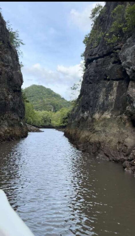 Langkawi Mangrove Monkey Package - Final Thoughts