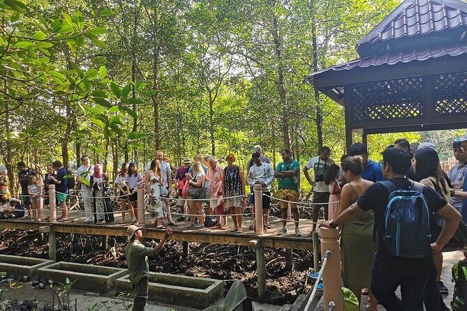 Langkawi Mangrove Night Safari And Wildlife With BBQ Dinner - Good To Know