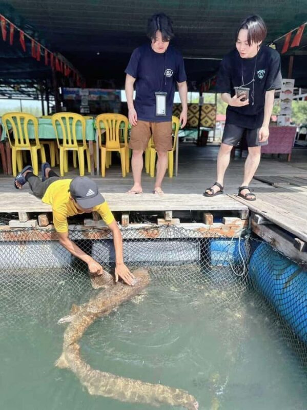Langkawi: Mangrove Sharing Boat include Lunch & Beach - Final Thoughts