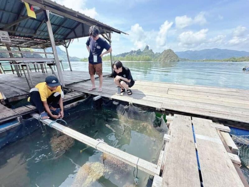 Langkawi: Mangrove Sharing Boat include Lunch & Beach - Potential Drawbacks and Considerations