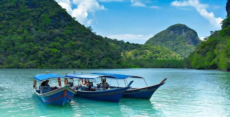 Langkawi: Mangrove Tour with Kilim Geoforest Park & Bat Cave - An Overview of the Tour Experience