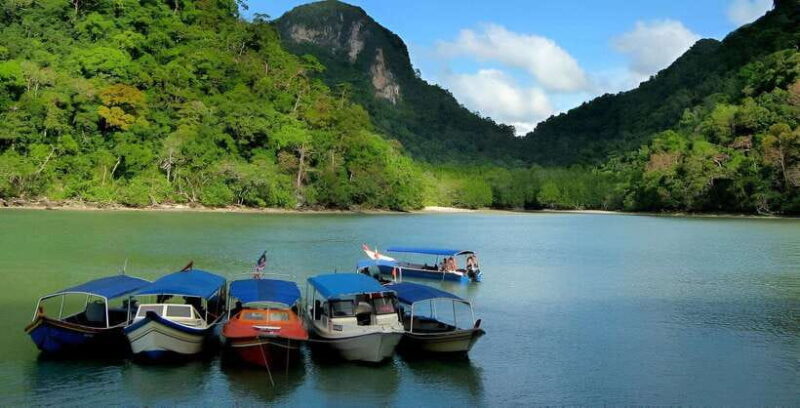Langkawi: Mangrove Tour with Kilim Geoforest Park & Bat Cave - The Value of the Experience