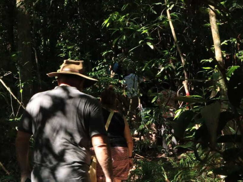Langkawi: Morning Rainforest Walking Tour - Why It’s a Good Value