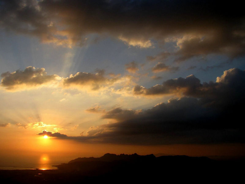 Langkawi Mountain Rainforest Sunset Wildlife Tour - Should you book the Gunung Raya sunset wildlife tour?
