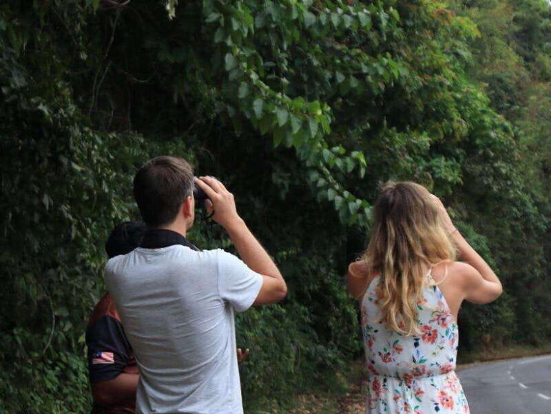 Langkawi: Nighttime Rainforest Tour with Nature Guide - The Overall Experience