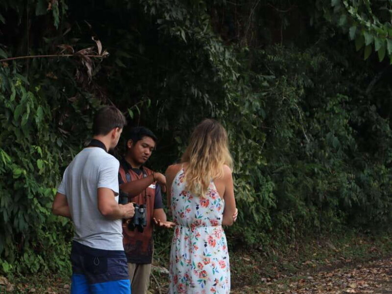 Langkawi: Nighttime Rainforest Tour with Nature Guide - Is It Worth It?