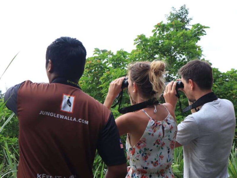 Langkawi: Nighttime Rainforest Tour with Nature Guide - The Sum Up