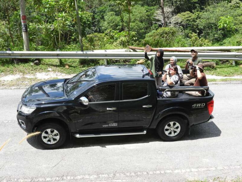 Langkawi: Nighttime Rainforest Tour with Nature Guide - How Does It Compare on Value?