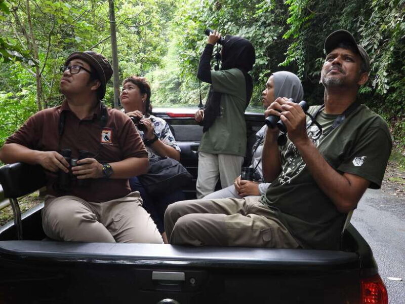 Langkawi: Nighttime Rainforest Tour with Nature Guide - Who Is This Tour Best For?