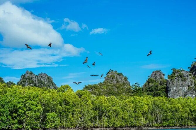 Langkawi One Percent Tour -White Glove Service & Exclusive Access - Who Should Consider This Tour?