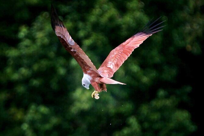 Langkawi One Percent Tour -White Glove Service & Exclusive Access - Final Thoughts