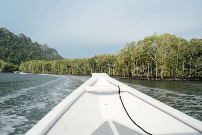 Langkawi: Private 2-Hour Mangrove Tour with Hotel Transfer - Introduction: Why This Mangrove Tour Stands Out