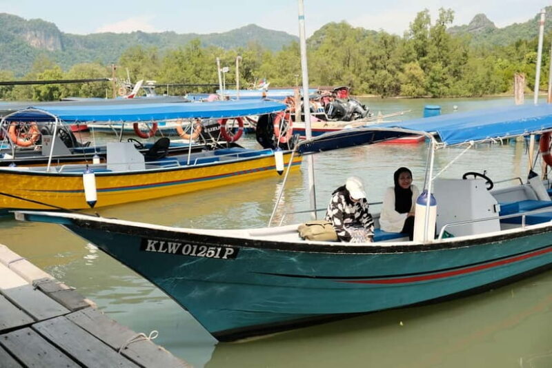 Langkawi: Private 2-Hour Mangrove Tour with Hotel Transfer - Good To Know