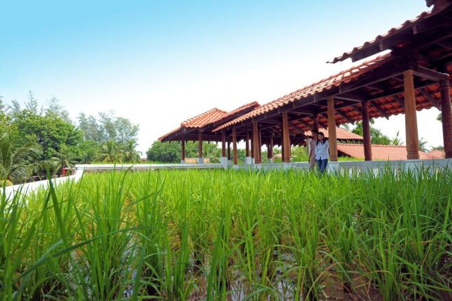 Langkawi: Private Tour With Sky Bridge and Cable Car - Shopping at Oriental Village