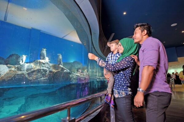 Langkawi: Private Tour With Sky Bridge and Cable Car - Experiencing the Breathtaking Langkawi Sky Bridge
