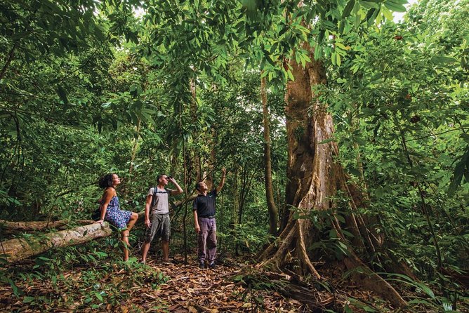 Langkawi Rainforest Jungle Trekking Tour With Private Pickup - Tour Pricing