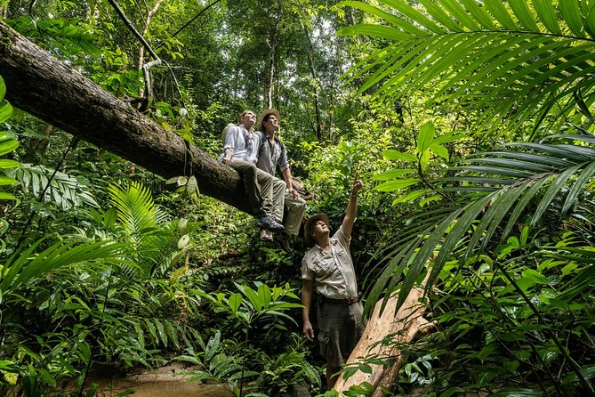 Langkawi Rainforest Jungle Trekking Tour With Private Pickup - Meeting and Pickup Details