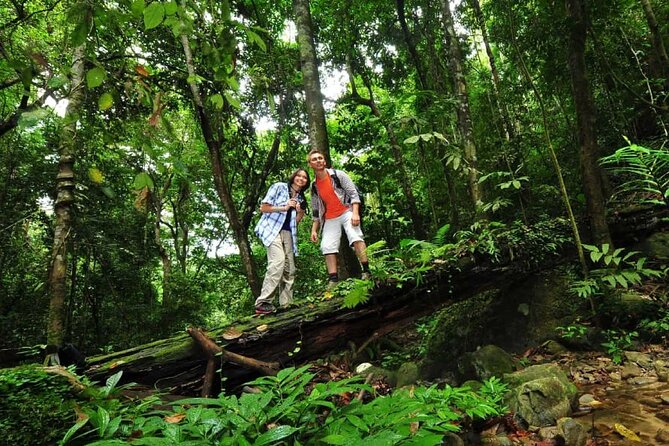 Langkawi Rainforest Jungle Trekking Tour With Private Pickup - Customer Reviews