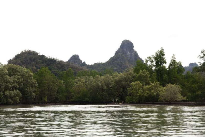 Langkawi Royal Mangrove Tour with Snorkeling Package - Final Thoughts