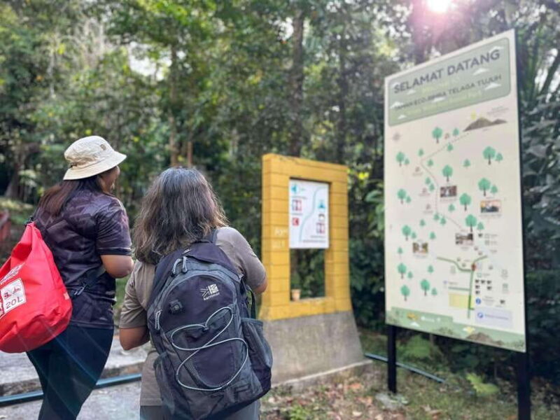 Langkawi: Seven Wells Waterfalls and Sacred Blue Pool Trip - Exploring Langkawi’s Waterfalls and Blue Pool: An In-Depth Look