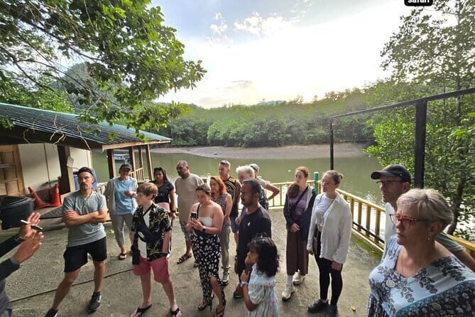 Langkawi Sightseeing Tour Including Cable Car And Sky Bridge - Who Is This Tour Best For?