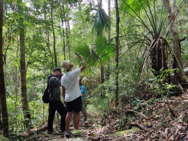 Langkawi SkyTrail - Experience
