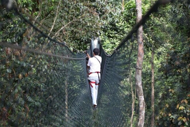Langkawi: Skytrex Adventure Park Experience Ticket - Common Questions