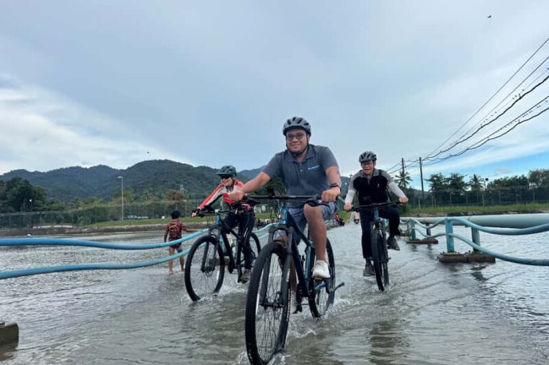 Langkawi: Small Group Countryside Cycling Tour Paddy Fields - Final Thoughts: Who Will Love This Tour?  
