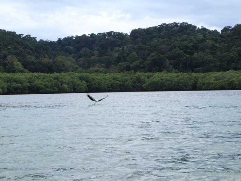 Langkawi: Southern Island Geopark Tour - Frequently Asked Questions