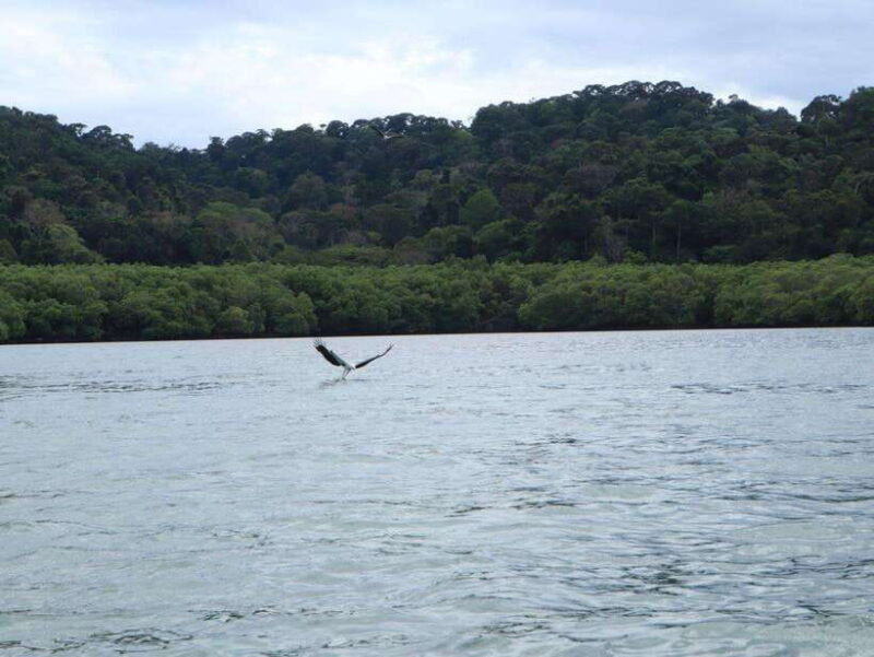 Langkawi: Southern Island Geopark Tour - Final Thoughts