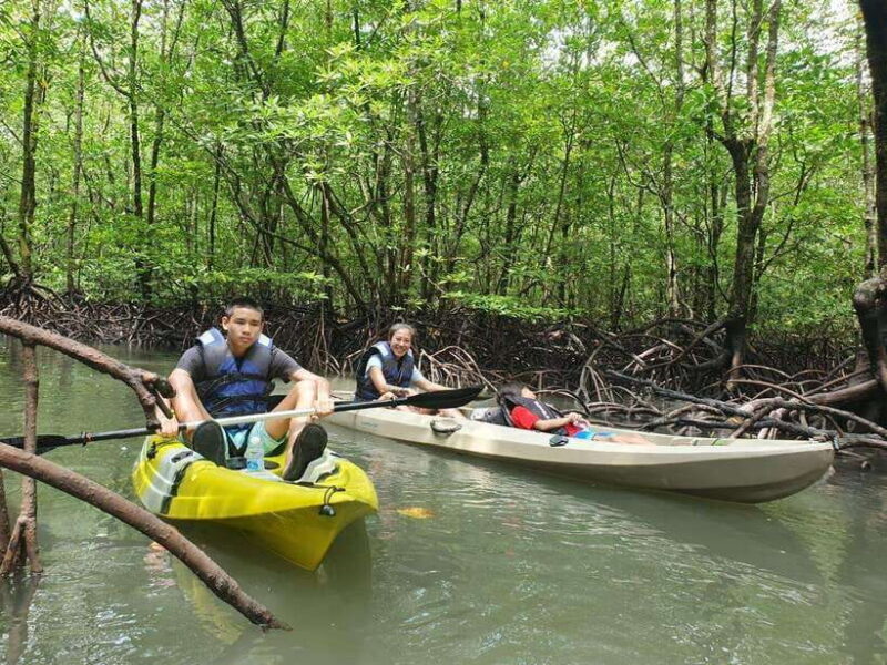Langkawi: Sunset Kayaking Tour - Why Choose This Tour?
