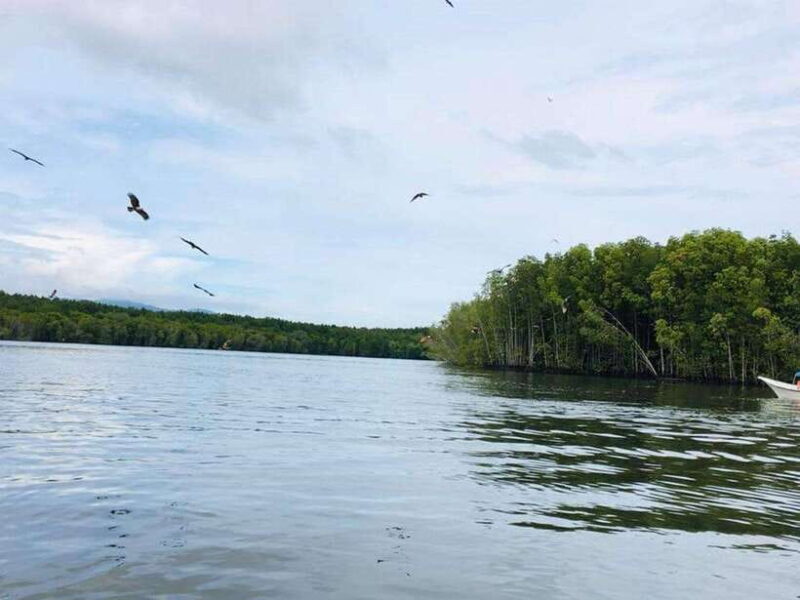 Langkawi: Tanjung Rhu Mangrove Speedboat Tour - An In-Depth Look at the Tour Experience