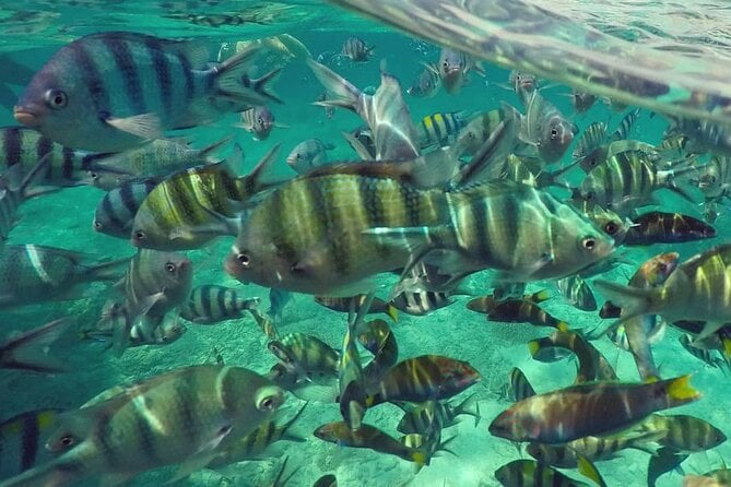 Langkawi Tour A - Land Tour & Pulau Dangli Snorkeling - Additional Information