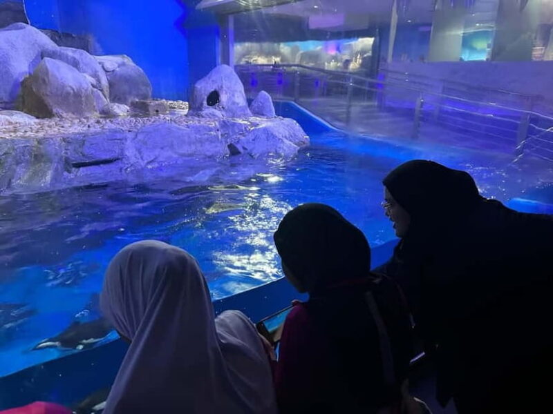 Langkawi: Underwater World Langkawi Entry Ticket - Visitor Experience and Feedback