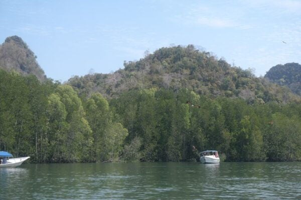 Langkawi UNESCO Global Geopark Mangrove Cruise - Directions