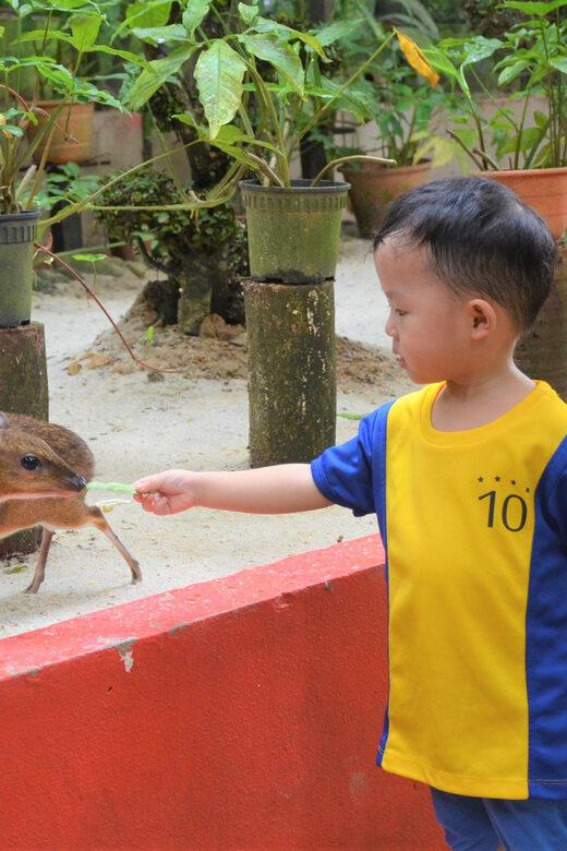 Langkawi: Wildlife Park Admission Ticket - Practical Tips for Visiting