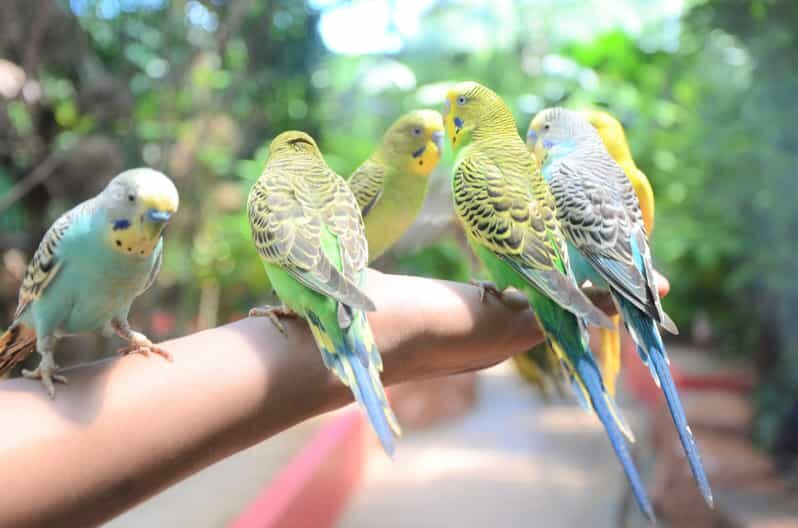 Langkawi: Wildlife Park Admission Ticket - Who Will Love This Experience?